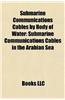 Submarine Communications Cables by Body of Water: Submarine Communications Cables in the Arabian Sea