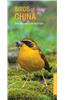 Birds of China