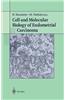 Cell and Molecular Biology of Endometrial Carcinoma