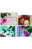 Wall Flowers Small Note Cards