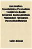 Apicomplexa: Toxoplasmose, Plasmodium, Toxoplasma Gondii, Grgarine, Cryptosporidium, Plasmodium Falciparum, Plasmodium Malariae