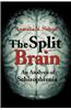 Split Brain