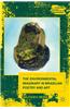 The Environmental Imaginary in Brazilian Poetry and Art
