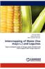 Intercropping of Maize (Zea Mays L.) and Legumes