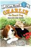 Charlie the Ranch Dog: Charlie's New Friend