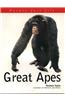 Great Apes