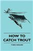 How to Catch Trout