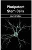 Pluripotent Stem Cells
