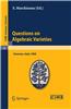 Questions on Algebraic Varieties: Lectures Given at a Summer School of the Centro Internazionale Matematico Estivo (C.I.M.E.) Held in Varenna (Como),