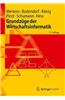 Grundzuge Der Wirtschaftsinformatik