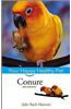 Conure