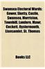 Swansea Electoral Wards: Gower, Sketty, Castle, Swansea, Morriston, Townhill, Landore, Mawr, Cockett, Oystermouth, Llansamlet, St. Thomas