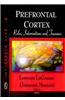 Prefrontal Cortex