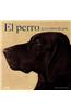 El Perro: 5000 Anos de Arte = The Dog