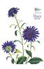 RHS Pocket Diary 2015