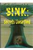 Sink: Secrets Unearthed