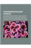 Trivandrum Railway Division: Thiruvananthapuram, Cherthala, Kollam, Nagercoil, Mavelikkara, Kottayam, Haripad, Thrissur Railway Station