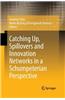 Catching Up, Spillovers and Innovation Networks in a Schumpeterian Perspective