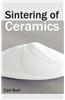 Sintering of Ceramics