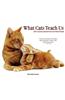 What Cats Teach Us 2012 Calendar