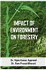 Impact Of Environment On Forestry