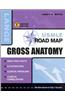 Gross Anatomy