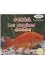 Goldfish / Los Carpines Dorados