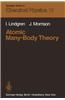 Atomic Many-Body Theory