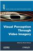Visual Perception Through Video Imagery