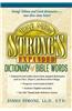 The New Strong's Expanded Dictionary of Bible Words