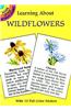 Learning About Wildflowers