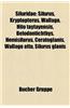 Siluridae: Silurus, Kryptopterus, Wallago, Hito Taytayensis, Belodontichthys, Hemisilurus, Ceratoglanis, Wallago Attu, Silurus Gl