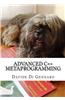 Advanced C++ Metaprogramming