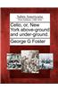 Celio, Or, New York Above-Ground and Under-Ground.