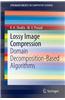 Lossy Image Compression: Domain Decomposition-Based Algorithms