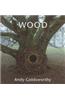 Wood: Andy Goldsworthy