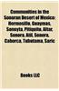 Communities in the Sonoran Desert of Mexico