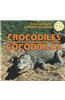 Crocodiles/Cocodrilos