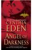 Angel of Darkness