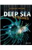 Deep Sea Extremes