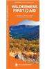 Wilderness First Aid