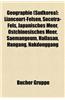 Geographie (Sudkorea): Berg in Sudkorea, Fluss in Sudkorea, Insel (Sudkorea), Inselgruppe (Sudkorea), Ort in Sudkorea, Daegu, Seoul
