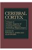 Cerebral Cortex