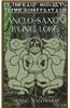 Anglo-Saxon Rune Lore: A Brief Guide to the Anglo-Saxon Runes