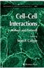 Cell'Cell Interactions