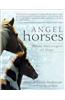 Angel Horses: Divine Messengers of Hope