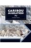 Caribou Migration