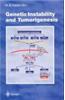 Genetic Instability and Tumorigenesis
