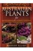 Australian Lants for Mediterranean Climate Gardens