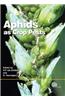 Aphids As Crop Pests